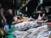 Palometa: propriedades, benefícios e contra-indicações