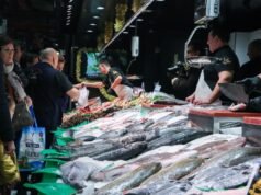 Palometa: propriedades, benefícios e contra-indicações