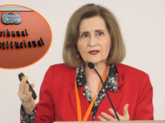 Luz Pacheco explica porque deixou a presidência do Tribunal Constitucional