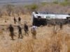 Caminhão turístico capotado em Nayarit: 11 mortos e 31 feridos