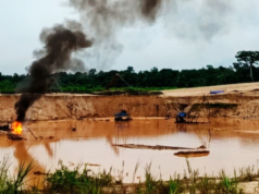 Surto de mineração ilegal em Madre de Dios: propriedades avaliadas em mais de S/ 8,3 milhões destruídas em seis dias