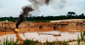 Surto de mineração ilegal em Madre de Dios: propriedades avaliadas em mais de S/ 8,3 milhões destruídas em seis dias