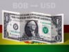 Preço atual do dólar na Bolívia: cotação de abertura em 28 de maio