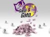 Gato vence: todos os resultados de 21 de maio