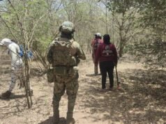 Mães procuram os corpos das mulheres desaparecidas encontradas em Mazatlán, Sinaloa