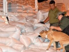 O chefe de uma organização que exportava quase 500 quilos de cocaína foi condenado em Rosário