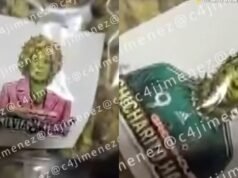 CJNG usou selos ‘El Chicharito’ e Silvia Pinal para marcar drogas encontradas em La Condesa, CDMX