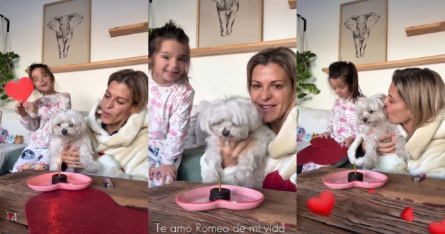 YEMA42SPQBENVL2M2G2MIOGSWU.png