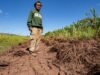 As piores inundações do Havaí em anos deixaram os agricultores em dificuldades