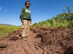 As piores inundações do Havaí em anos deixaram os agricultores em dificuldades