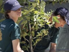 Inspirados por Jane Goodall, estudantes constroem viveiro para restaurar florestas de Los Angeles