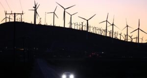 Hiltzik: Por que Trump odeia a energia eólica?