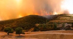 Os incêndios estão assolando o sul da Califórnia e ainda estamos em maio. O que está acontecendo?