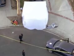 Menino de 4 anos é encontrado morto dentro de carro em Village Village