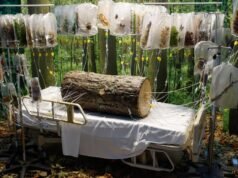 Exposição ‘Hospital das Emoções’ no centro de Los Angeles