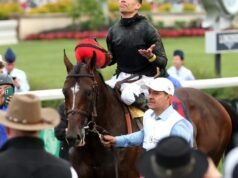 Arremessador dos Dodgers e jóquei de corrida de cavalos ligado a brigas de galos em Porto Rico