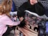 Mais ‘dormidas’ nas ruas de Hollywood à medida que a cidade se desenrola, trazendo novos desafios