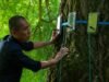Crítica de ‘Amigo Silencioso’: Um Gingko com uma mente de sua própria beleza Tony Leung
