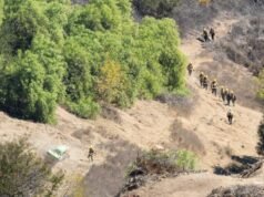 O financiamento para prevenção de incêndios florestais na Califórnia pode acabar