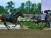 Napoleon Solo venceu o Preakness Stakes por uma distância