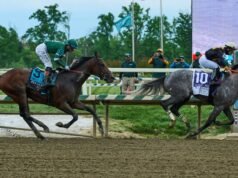 Napoleon Solo venceu o Preakness Stakes por uma distância
