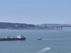 Cientistas apostam na IA para salvar baleias cinzentas de ataques de barcos na costa da Califórnia
