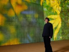 Videoinstalação de Diana Thater nas Galerias David Geffen LACMA