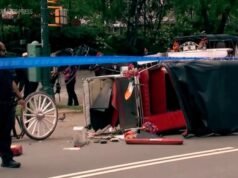 Carruagem puxada por cavalos em Nova York parou após a morte de um jovem turista