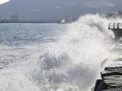 Onda rara atinge o sul do Peru: viagens à Ilha Ballestas suspensas e pesca proibida em Ica