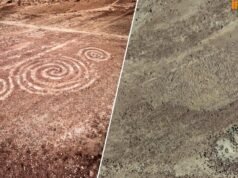 “Como a destruição das Linhas de Nazca ou a destruição do Intihuatana em Machu Picchu”: negam a destruição do geoglifo da Tríplice Espiral em Trujillo.