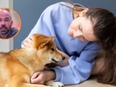 Alfredo Molina, veterinário: “Quando chegar o fim da vida do seu cachorro, você não precisa ser forte, você tem que estar presente”