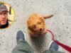 Alan Peiró, treinador de cães: “Nem todos os cães aprendem repetindo a mesma coisa indefinidamente”