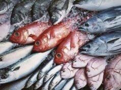 As exportações de pescado da Ásia Oriental crescem mais de 342 milhões de dólares: Quais são os principais produtos?