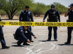 AO VIVO | Segurança, tráfico de drogas e crime no México hoje, sexta-feira, 19 de junho: Quem está na Nueva Familia Michoacana?