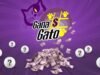 Os números que deram riqueza a quem ganhou o novo Gana Gato neste 25 de junho