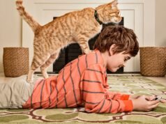 Os gatos não pioram a asma infantil nem pioram os problemas respiratórios, descobriu um estudo com 30.000 crianças