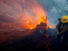 Por que os especialistas alertam sobre uma das temporadas de incêndios mais perigosas dos últimos anos?