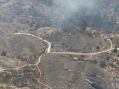 Equipes de emergência trabalham para extinguir o incêndio florestal em Abanilla