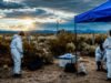 Hantavírus: o primeiro estudo não encontrou sinais de roedores associados aos Andes em Mendoza