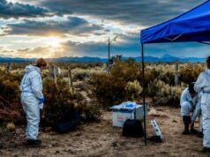 Hantavírus: o primeiro estudo não encontrou sinais de roedores associados aos Andes em Mendoza