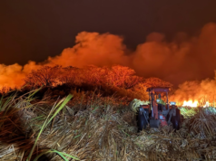 Costa Rica enfrenta temporada difícil com 115 incêndios florestais previstos em 2026