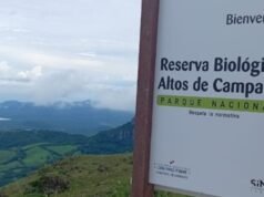Panamá comemora 60 anos de Altos de Campana, o primeiro parque nacional e reserva biológica