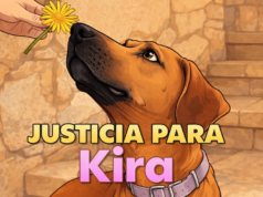 O cachorro foi espancado até a morte e as autoridades abandonaram seu corpo a 6 quilômetros de sua casa
