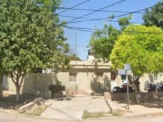 Tentaram levar drogas escondidas em uma galinha para a delegacia de Santiago del Estero