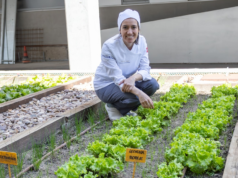 Xandra Luque, chef que cozinha para pacientes hospitalares: “Fizemos massa de pizza à base de brócolis e sobremesas com tâmaras”