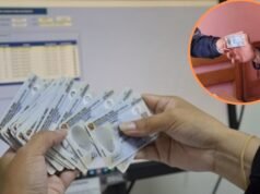 Identificação eletrônica gratuita nesta quarta-feira, 10 de junho: Onde e quem se beneficia?