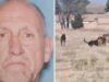 Menino da Califórnia se afoga após pular em lago para escapar de cachorro cruel
