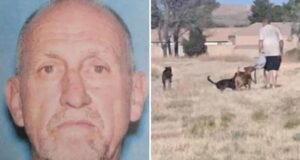 Menino da Califórnia se afoga após pular em lago para escapar de cachorro cruel