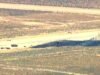 A queda do B-52 levanta preocupações sobre a reputação da Força Aérea