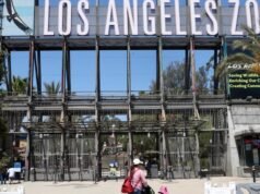 Já se passaram sete décadas desde a crise de destruição do zoológico de Los Angeles